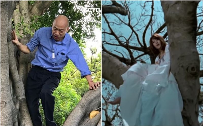 韓國瑜爬樹主題曲？郭靜夯曲引朝聖
