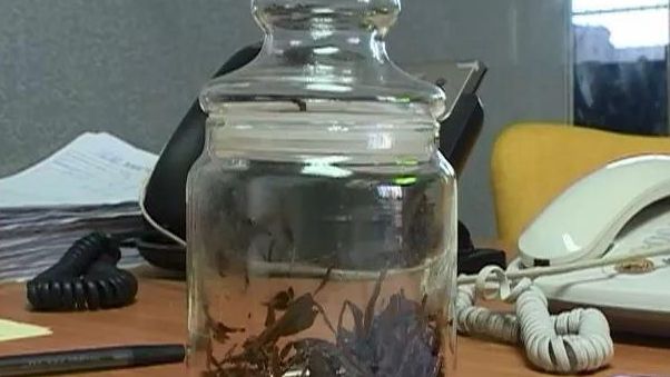男突頻尿裝監視器　驚見同事水中下毒