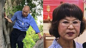 韓國瑜,李喬如,愛河,議員,爬樹,登革熱