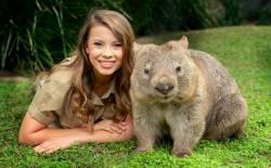 澳洲袋熊。（圖／翻攝自Australia Zoo官網）https://www.australiazoo.com.au/our-animals/animal-encounters/wombat-encounter.html