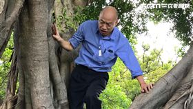 韓國瑜,黃捷,登革熱,爬樹,作秀