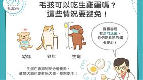 
名家專用／毛起來MAOUP（勿用）