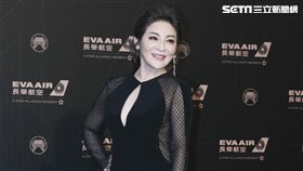 第30屆金曲獎星光大道，王彩樺。（記者邱榮吉、林士傑/攝影）