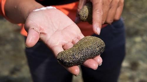 海參泡工業用冰醋酸　更一審結果出爐