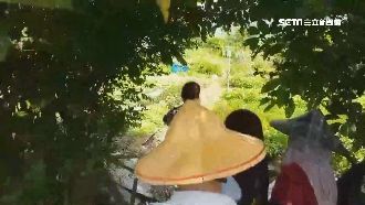 拖十天才清蜂窩！家屬控官僚害死老婦