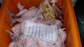 北市家禽批發市場44隻土雞疑患禽流感（1）台北市政府市場處25日表示，家禽批發市場附設屠宰場凌晨發現疑似罹患禽流感紅羽土雞共44隻，依規定處置及送驗，並對市場進行全區消毒，呼籲民眾購買禽肉產品時，應認明有「防檢局屠宰衛生合格」標誌貼紙。（市場處提供）中央社記者劉建邦傳真 108年7月25日