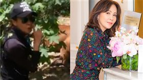 劉嘉玲／翻攝自劉嘉玲IG