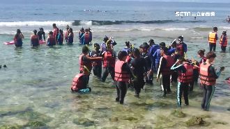 無視限制帶十人公告！小琉球浮潛超收