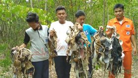 泰國,胸罩,樹上,森林,自慰。(圖/翻攝自泰國日報網)
