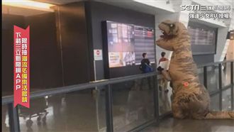 影／穿暴龍裝接機　男友竟這反應