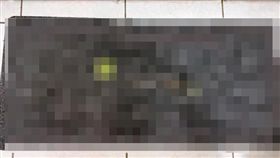 地墊,彎腰,四葉草,葉菜(翻攝自爆廢公社)
