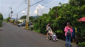 宜蘭,虎頭蜂,行政怠惰,蜂巢,死亡