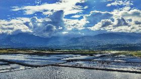 花蓮玉里193天堂路　邀陳昇水田中開
