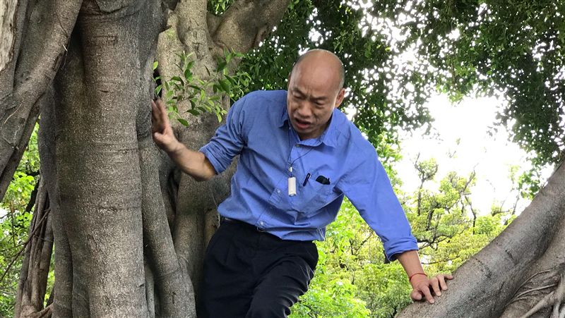 笑韓國瑜爬樹⋯韓粉髒話反擊下場曝光