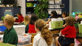 腸病毒,上課,學校,孩童,上學（圖／pixabay）