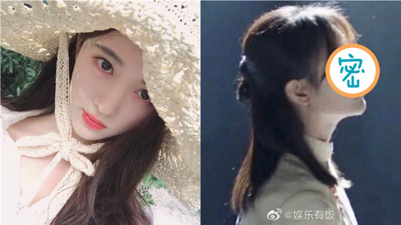 仙氣女星疑整形　鼻梁透光舊照被起底