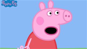 圖翻攝自推特、臉書