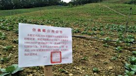 南投信義原民地遭濫墾 罰12萬元限期回復南投縣信義鄉一塊原住民保留地由民眾承租開墾，卻超限利用並修築土石農路、挖蓄水池，南投縣政府農業處依水土保持法罰新台幣12萬元並限期回復。（民眾提供）中央社記者蕭博陽南投縣傳真  108年7月26日