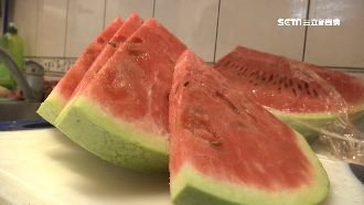焚風加速西瓜熟成　1顆俗賣200元