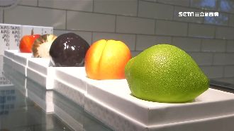 不用飛巴黎！法知名擬真甜點快閃台北