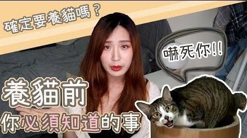 貓奴勸世文！養貓前你應該知道的事