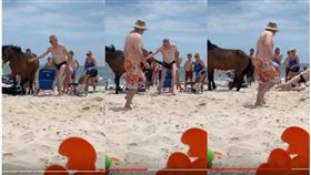 男子摸馬遭踢下體（圖／翻攝自ViralHog，YouTube）