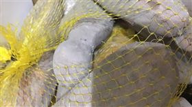 蔬果,球池,網袋,包裝,暴力(圖/翻攝自PTT)