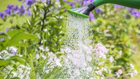 名家專用／台中房市通（勿用）