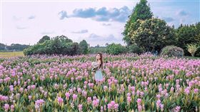 名家專用／台灣旅行趣（勿用）