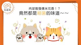 名家專用／毛起來MAOUP（勿用）