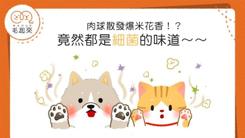 肉球散發爆米花香？竟然都是細菌味道