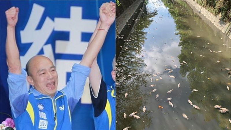 高雄魚群翻肚！網爆市府多日仍未處理