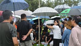 澎湖縣,馬公市,樹葬,環保,大自然