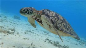 （圖／Tripbaa趣吧！亞洲自由行專家）