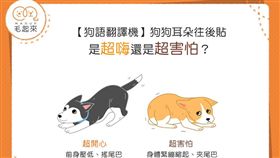 名家專用／毛起來MAOUP（勿用）