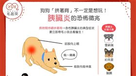 名家專用／毛起來MAOUP（勿用）