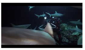 法國馬賽港,海底深潛,另一個世界,影像展覽