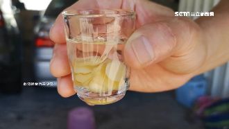 「大蒜高粱」不醉還養身？醫師這樣說