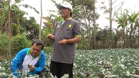 國合會駐印尼技術團與印尼農業部倫邦農業訓練中心合作輔導生產的農產品貼有兩單位的標籤，已在萬隆等地的4大連鎖超市上市，鎖定高端消費族群，幫助農民增加獲利。
