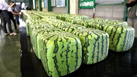 日本方形西瓜（圖／翻攝自推特）