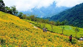 名家專用／台灣旅行趣（勿用）