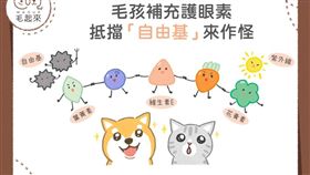 名家專用／毛起來MAOUP（勿用）