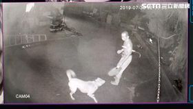 野人,林金寶,屏東,滿洲,鐮刀