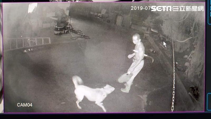 「台灣野人」擱來啊！持鐮刀工寮閒晃