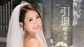 名家專用／LXAV／櫻木凜（勿用）