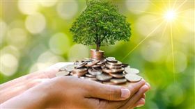 名家專用／Money錢（勿用）