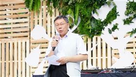 台灣,柯文哲,參選總統,衝擊藍綠