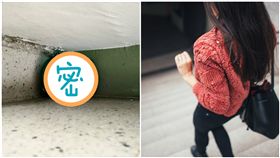 樓梯間發現小豬撲滿／pixabay、爆廢公社公開版