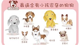 ▲最適合有小孩家庭的狗狗（圖／愛你寵物網loveupets）