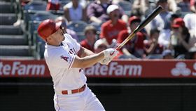 ▲楚奧特（Mike Trout）敲出本季第35轟，生涯第275轟。（圖／美聯社）
